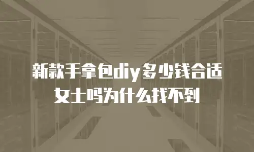 新款手拿包diy多少钱合适女士吗为什么找不到