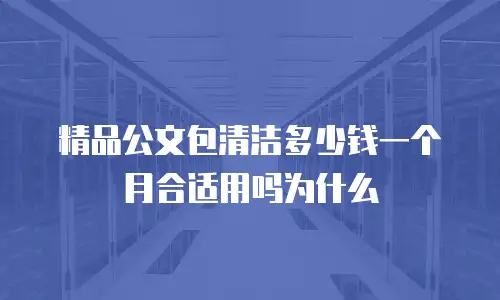 精品公文包清洁多少钱一个月合适用吗为什么
