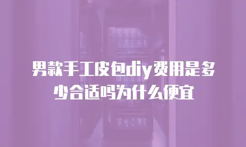 男款手工皮包diy费用是多少合适吗为什么便宜