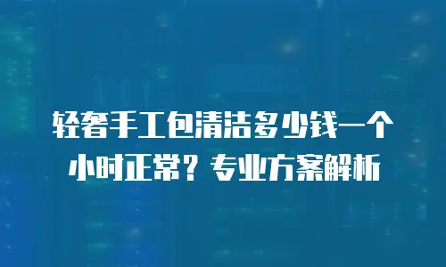 轻奢手工包清洁多少钱一个小时正常？专业方案解析