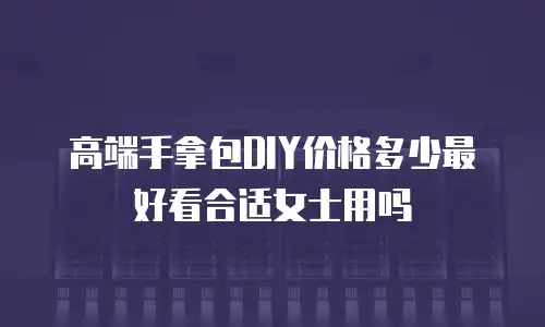 高端手拿包DIY价格多少最好看合适女士用吗