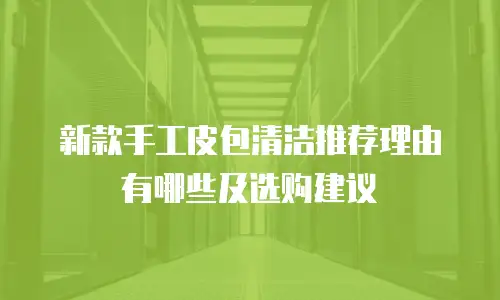 新款手工皮包清洁推荐理由有哪些及选购建议
