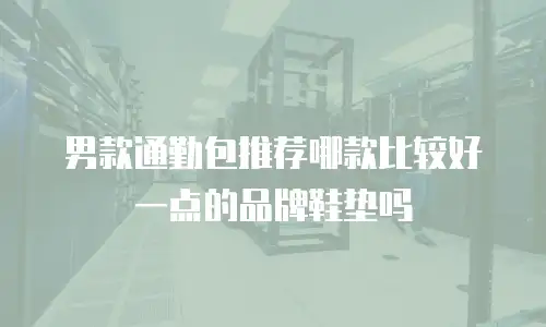 男款通勤包推荐哪款比较好一点的品牌鞋垫吗