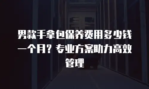男款手拿包保养费用多少钱一个月？专业方案助力高效管理