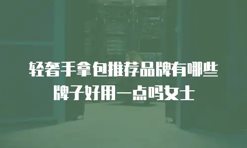 轻奢手拿包推荐品牌有哪些牌子好用一点吗女士