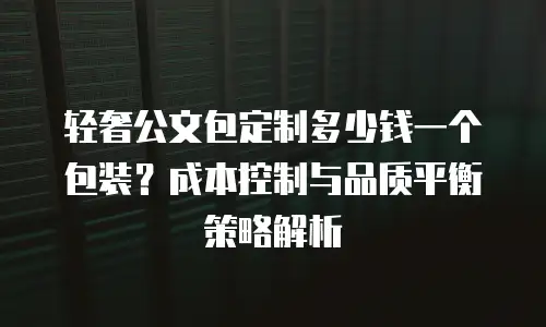 轻奢公文包定制多少钱一个包装？成本控制与品质平衡策略解析