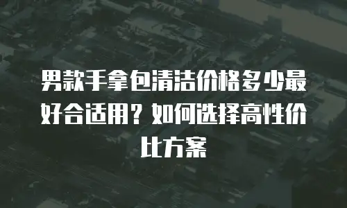 男款手拿包清洁价格多少最好合适用？如何选择高性价比方案
