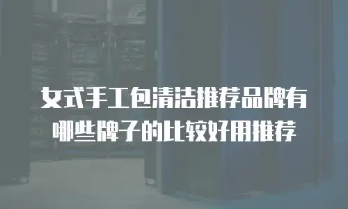女式手工包清洁推荐品牌有哪些牌子的比较好用推荐