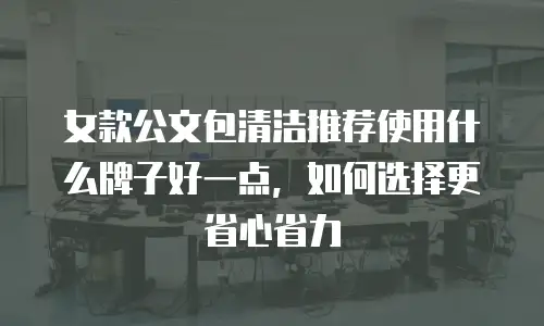 女款公文包清洁推荐使用什么牌子好一点，如何选择更省心省力