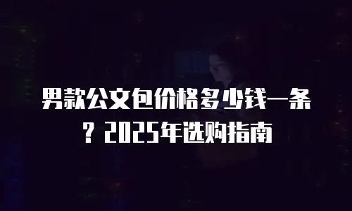 男款公文包价格多少钱一条？2025年选购指南