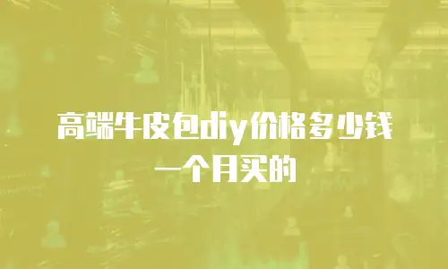 高端牛皮包diy价格多少钱一个月买的