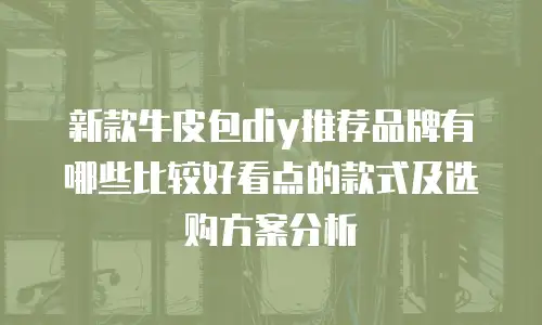 新款牛皮包diy推荐品牌有哪些比较好看点的款式及选购方案分析