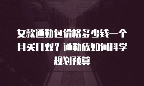 女款通勤包价格多少钱一个月买几双？通勤族如何科学规划预算