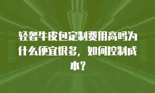 轻奢牛皮包定制费用高吗为什么便宜很多，如何控制成本？
