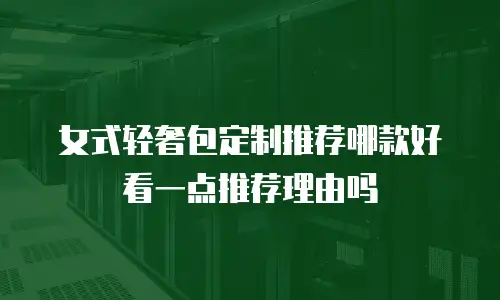 女式轻奢包定制推荐哪款好看一点推荐理由吗