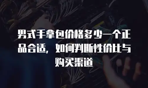 男式手拿包价格多少一个正品合适，如何判断性价比与购买渠道