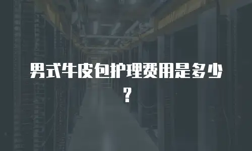 男式牛皮包护理费用是多少？