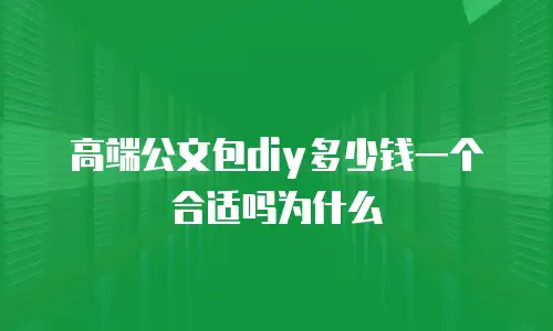 高端公文包diy多少钱一个合适吗为什么