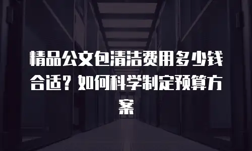 精品公文包清洁费用多少钱合适？如何科学制定预算方案