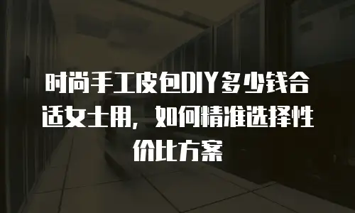 时尚手工皮包DIY多少钱合适女士用，如何精准选择性价比方案