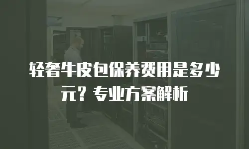 轻奢牛皮包保养费用是多少元？专业方案解析