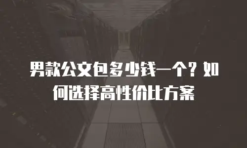 男款公文包多少钱一个？如何选择高性价比方案