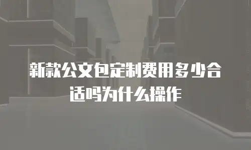 新款公文包定制费用多少合适吗为什么操作