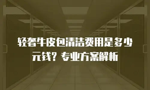 轻奢牛皮包清洁费用是多少元钱？专业方案解析