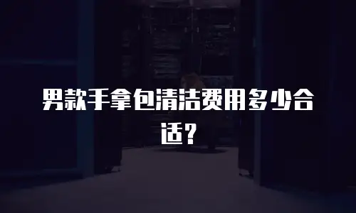 男款手拿包清洁费用多少合适？