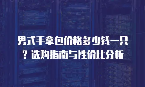 男式手拿包价格多少钱一只？选购指南与性价比分析