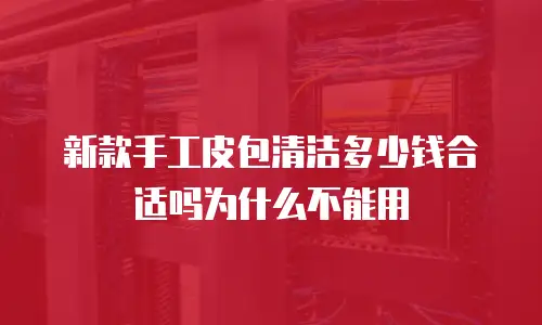 新款手工皮包清洁多少钱合适吗为什么不能用