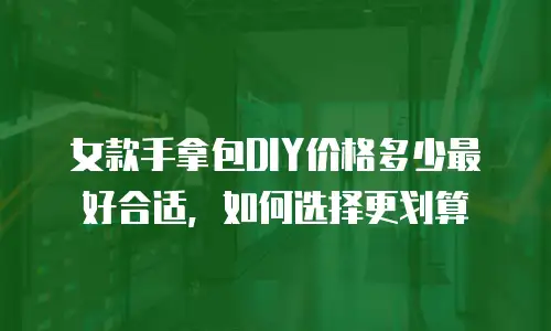 女款手拿包DIY价格多少最好合适，如何选择更划算