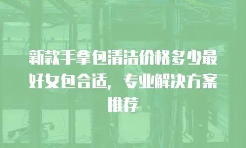 新款手拿包清洁价格多少最好女包合适，专业解决方案推荐