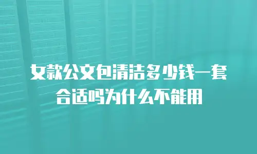 女款公文包清洁多少钱一套合适吗为什么不能用