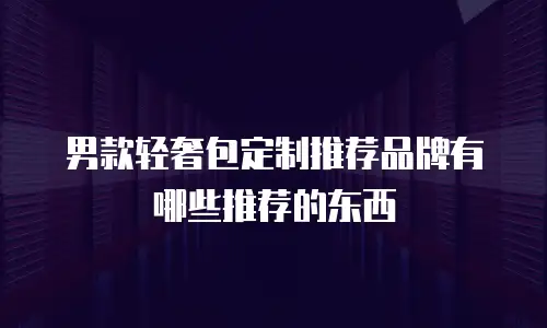 男款轻奢包定制推荐品牌有哪些推荐的东西