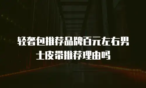 轻奢包推荐品牌百元左右男士皮带推荐理由吗