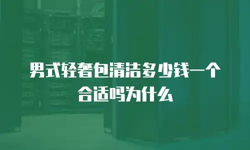 男式轻奢包清洁多少钱一个合适吗为什么