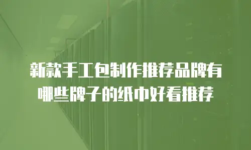 新款手工包制作推荐品牌有哪些牌子的纸巾好看推荐