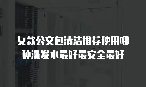 女款公文包清洁推荐使用哪种洗发水最好最安全最好