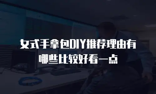 女式手拿包DIY推荐理由有哪些比较好看一点