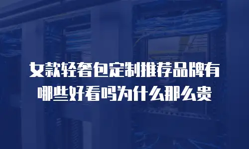 女款轻奢包定制推荐品牌有哪些好看吗为什么那么贵