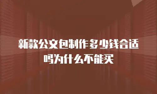 新款公文包制作多少钱合适吗为什么不能买