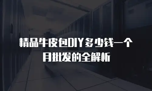 精品牛皮包DIY多少钱一个月批发的全解析