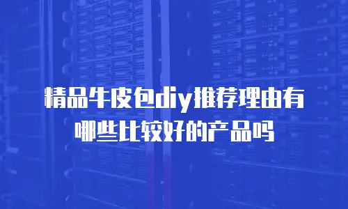 精品牛皮包diy推荐理由有哪些比较好的产品吗