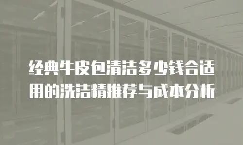 经典牛皮包清洁多少钱合适用的洗洁精推荐与成本分析