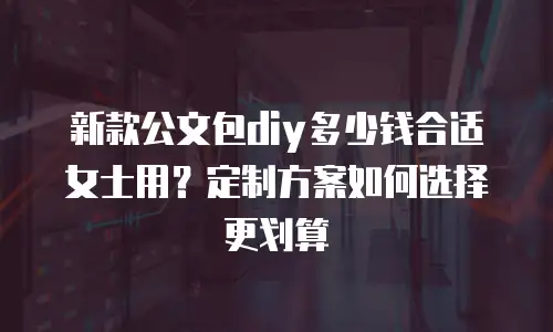 新款公文包diy多少钱合适女士用？定制方案如何选择更划算