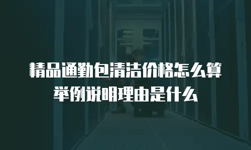 精品通勤包清洁价格怎么算举例说明理由是什么
