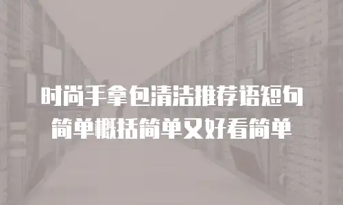 时尚手拿包清洁推荐语短句简单概括简单又好看简单