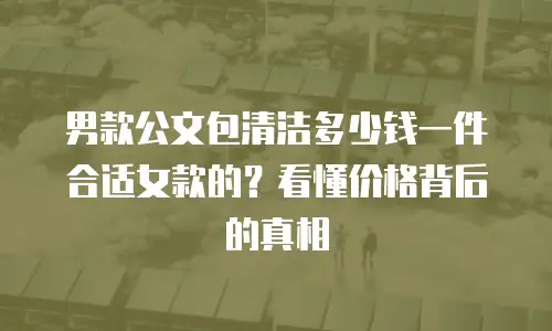 男款公文包清洁多少钱一件合适女款的？看懂价格背后的真相