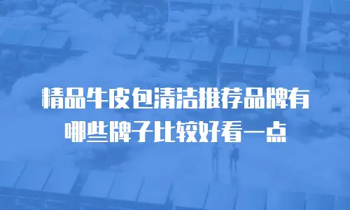 精品牛皮包清洁推荐品牌有哪些牌子比较好看一点